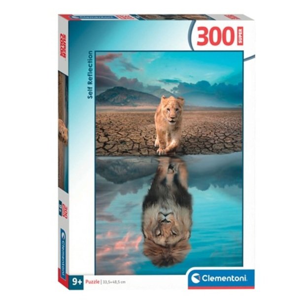 Dėlionė Puzzle 300 detalių, 21719