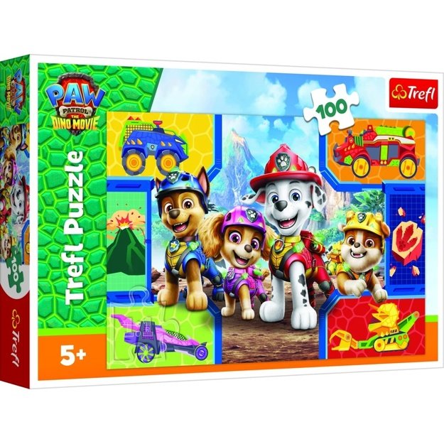 Dėlionė Puzzle 100 detalių, 16548