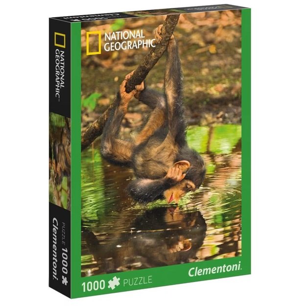 Dėlionė Puzzle 1000 detalių, 39301