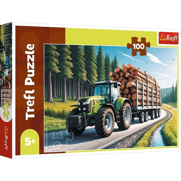Dėlionė Puzzle 100 detalių, 16493