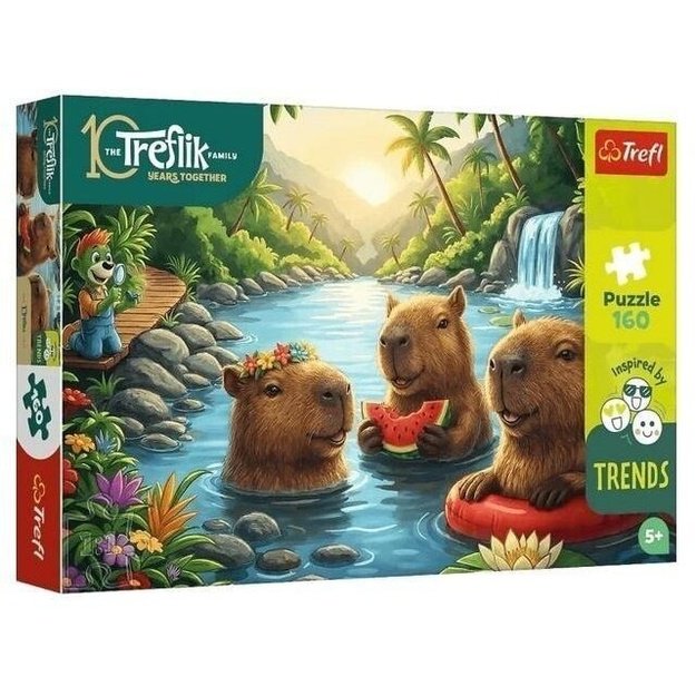 Dėlionė Puzzle 160 detalių, 15446