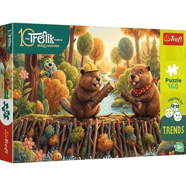 Dėlionė Puzzle 160 detalių, 15448