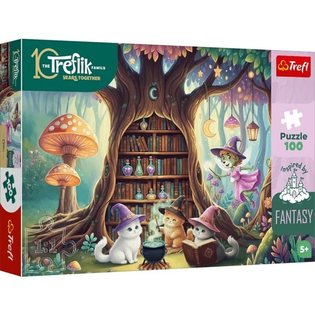 Dėlionė Puzzle 100 detalių, 16572