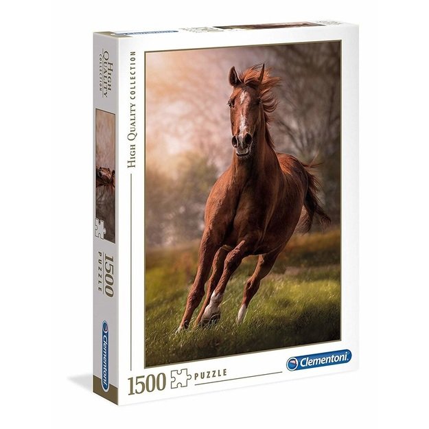 Dėlionė Puzzle 1500 detalių, 31811