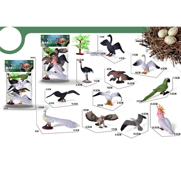 Paukščių rinkinys