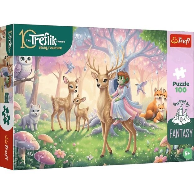 Dėlionė Puzzle 100 detalių, 16577