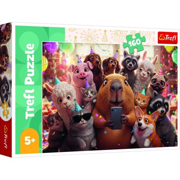 Dėlionė Puzzle 160 detalių, 15444